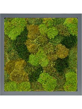 Картина из мха mdf ral 7016 satin gloss 20% flat and 80% exclusive moss (mix)