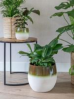 Кашпо Fem pot pear green D26 H24 см