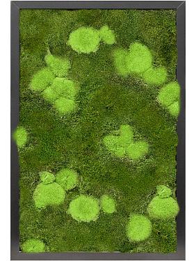 Картина из мха mdf ral 9005 satin gloss 30% ball- and 70% flat moss Картина из мха mdf ral 9005 satin gloss 30% ball- and 70% flat moss