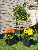 Кашпо Artstone ella pot black L25 W25 H24 см