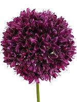 Аллиум фиолетовый искусственный H89 см