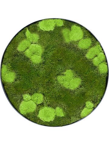 Картина из мха nova frame anthracite-concrete 30% ball- and 70% flat moss