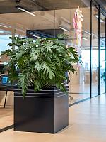 Кашпо Baq line-up cube matt black (с техническим горшком и подставкой на колесиках) L48 W48 H48 см