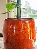 Кашпо Eddy pot orange D50 H45 см