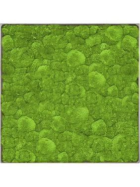 Картина из мха nova frame natural-concrete 100% ball moss