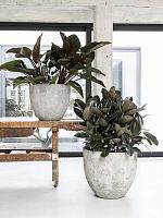 Кашпо Oyster jesslyn l imperial white D70 H61 см