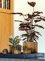 Кашпо Capi nature groove vase ball black gold D18 H15 см