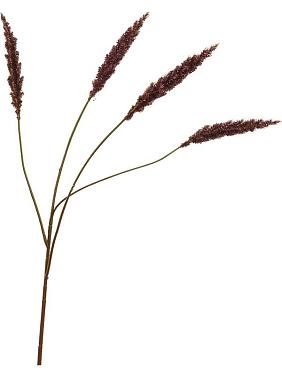 Сетария бургунди искусственная