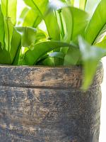 Кашпо John planter earth L44 W15 H45 см