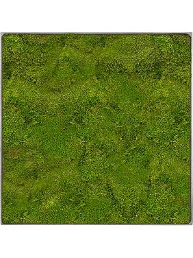 Картина из мха nova frame natural-concrete 100% flat moss