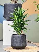 Кашпо Baq raindrop darcy anthracite D30 H26 см