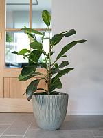 Кашпо Viggo pot mint (набор 3 шт) D37 H35 см Кашпо Viggo pot mint (набор 3 шт) D37 H35 см