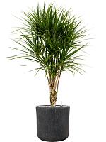 Кашпо Baq raindrop cylinder anthracite D42 H41 см