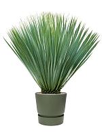 Кашпо с поддоном Greenville round leaf green D40 H36 см Кашпо с поддоном Greenville round leaf green D40 H36 см