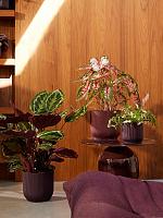 Кашпо The winery collection deep purple D16 H15 см