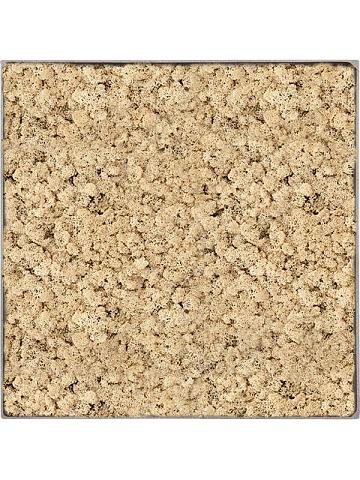 Картина из мха nova frame natural-concrete 100% reindeer (natural) Картина из мха nova frame natural-concrete 100% reindeer (natural)