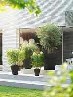 Кашпо Pure® round anthracite D118 H107 см Кашпо Pure® round anthracite D118 H107 см