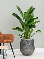 Кашпо Baq opus hit darcy silver (с техническим горшком) D45 H48 см