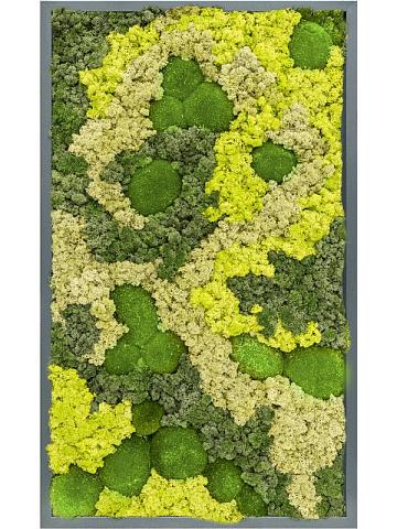 Картина из мха mdf ral 7016 satin gloss 30% ball moss 70% reindeer moss (mix) Картина из мха mdf ral 7016 satin gloss 30% ball moss 70% reindeer moss (mix)