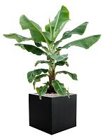 Кашпо Argento cube black L50 W50 H50 см Кашпо Argento cube black L50 W50 H50 см