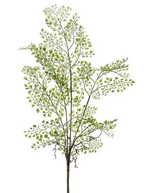 Ветка Адиантума искусственная Ветка Адиантума искусственная