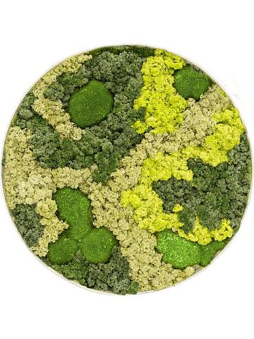 Картина из мха nova frame antique white-concrete 30% ball moss 70% reindeer moss (mix) Картина из мха nova frame antique white-concrete 30% ball moss 70% reindeer moss (mix)