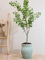 Кашпо Mediterranean apollo s, rustic green D38 H47 см