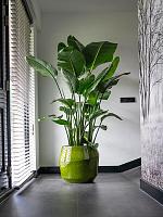Кашпо Eddy pot pear D43 H39 см