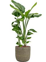 Кашпо Magna pot brown D38 H38 см