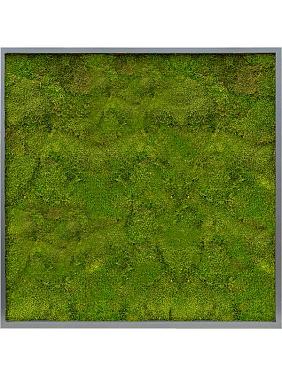 Картина из мха mdf ral 7016 satin gloss 100% flat moss Картина из мха mdf ral 7016 satin gloss 100% flat moss