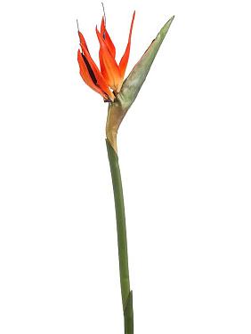 Цветок Стрелиции искусственный