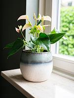 Кашпо Fem pot sky blue D22 H19 см