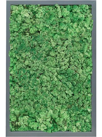 Картина из мха mdf ral 7016 satin gloss 100% reindeer (grass green) Картина из мха mdf ral 7016 satin gloss 100% reindeer (grass green)