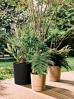 Кашпо Foss round living black D25 H24 см