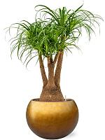 Кашпо Baq metallic silver leaf globe matt honey (с техническим горшком) D50 H37 см Кашпо Baq metallic silver leaf globe matt honey (с техническим горшком) D50 H37 см