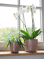 Кашпо Cille pot old pink D14 H13 см