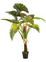 Колоказия в горшке искусственная W140 H160 см Колоказия в горшке искусственная W140 H160 см