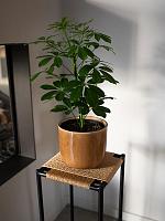 Кашпо Nine pot caramel D19 H17 см