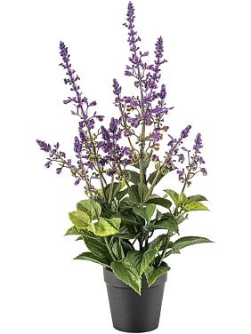 Сальвия с лавандовыми цветами искусственная Сальвия с лавандовыми цветами искусственная
