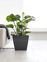 Кашпо Ecopots rotterdam 40 dark grey L40 W40 H35 см