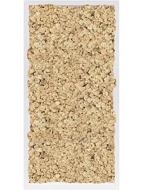 Картина из мха mdf ral 9010 satin gloss 100% reindeer moss (natural) Картина из мха mdf ral 9010 satin gloss 100% reindeer moss (natural)