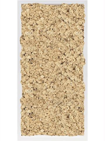 Картина из мха mdf ral 9010 satin gloss 100% reindeer moss (natural)