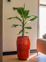 Ваза Eddy vase orange D43 H68 см