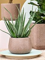 Кашпо Baq terrazzo darcy low mocha D37 H24 см