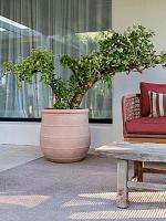 Кашпо Treasure nika l brick orange D54 H42 см