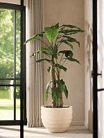 Кашпо Baq polystone coated junar couple natural D70 H56 см