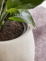 Кашпо Baq polystone coated plain balloon natural (с техническим горшком) D52 H68 см