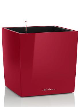 Кашпо Lechuza Cube (красный лакированный)