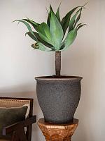 Кашпо Mediterranean poseidon m umber brown D52 H47 см