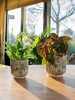 Кашпо Emilia pot green D8 H8 см